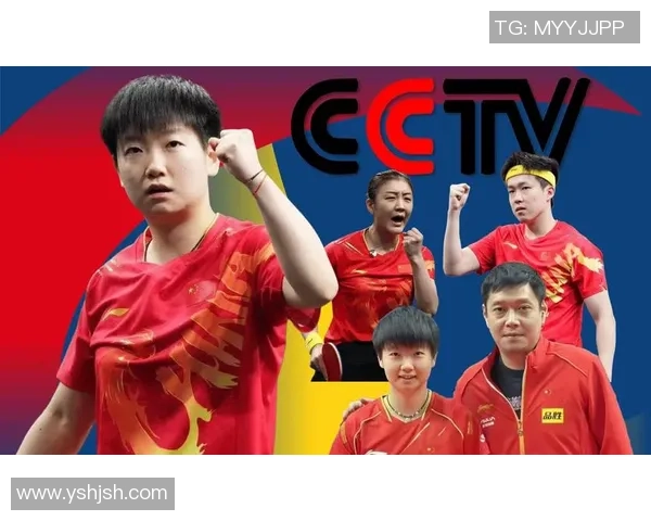 专访乒乓球名将陈敏揭秘她成功背后的心路历程与训练秘诀