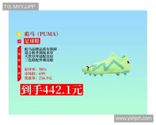 足球明星穿着的足球鞋价格揭秘及其背后的品牌故事