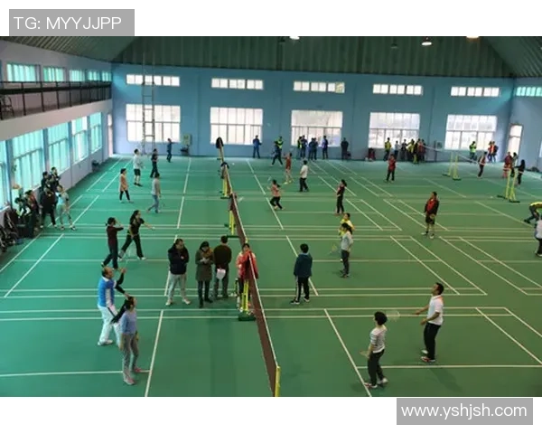 武汉羽毛球队战术解析:聚焦技术与团队协作的完美结合 武汉羽毛球队战术解析:聚焦技术与团队协作的完美结合