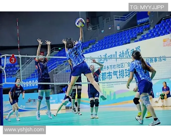 成都排球队实力提升引发热议新赛季展现全新面貌与竞争力