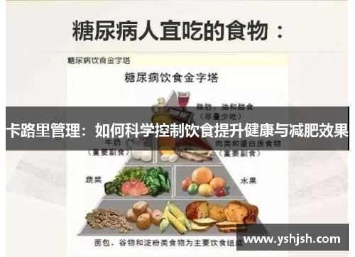 卡路里管理：如何科学控制饮食提升健康与减肥效果