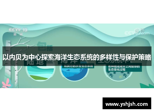 以内贝为中心探索海洋生态系统的多样性与保护策略