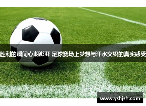 胜利的瞬间心潮澎湃 足球赛场上梦想与汗水交织的真实感受
